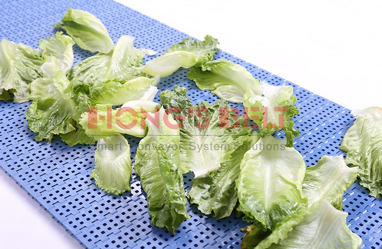 HONGSBELT HS-200B Perforated top modular plastic conveyor belt for tomatoes washing line - Image 2