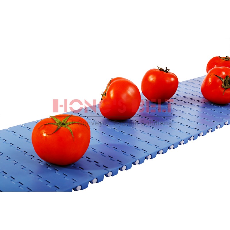 Modular Plastic Conveyor Belt for Food Processing