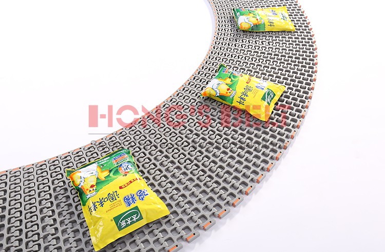 HONGSBELT HS-300B Flush grid modular plastic conveyor belt for food industry - Image 2