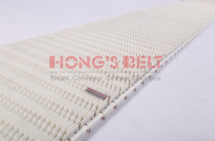 HONGSBELT HS-901D Raised Bid modular plastic conveyor belt - Image 2