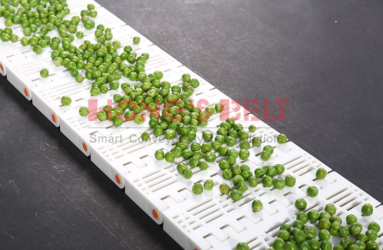 HONGSBELT HS-902B modular plastic conveyor belt - Image 2