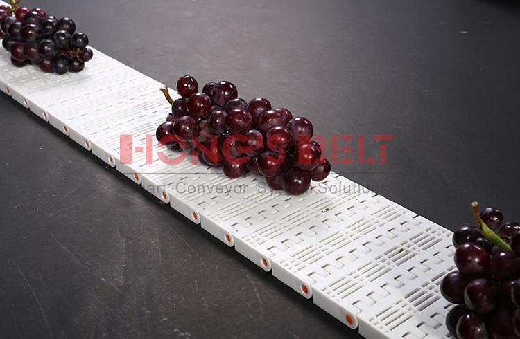 HS-902B Modular Plastic Conveyor Belt