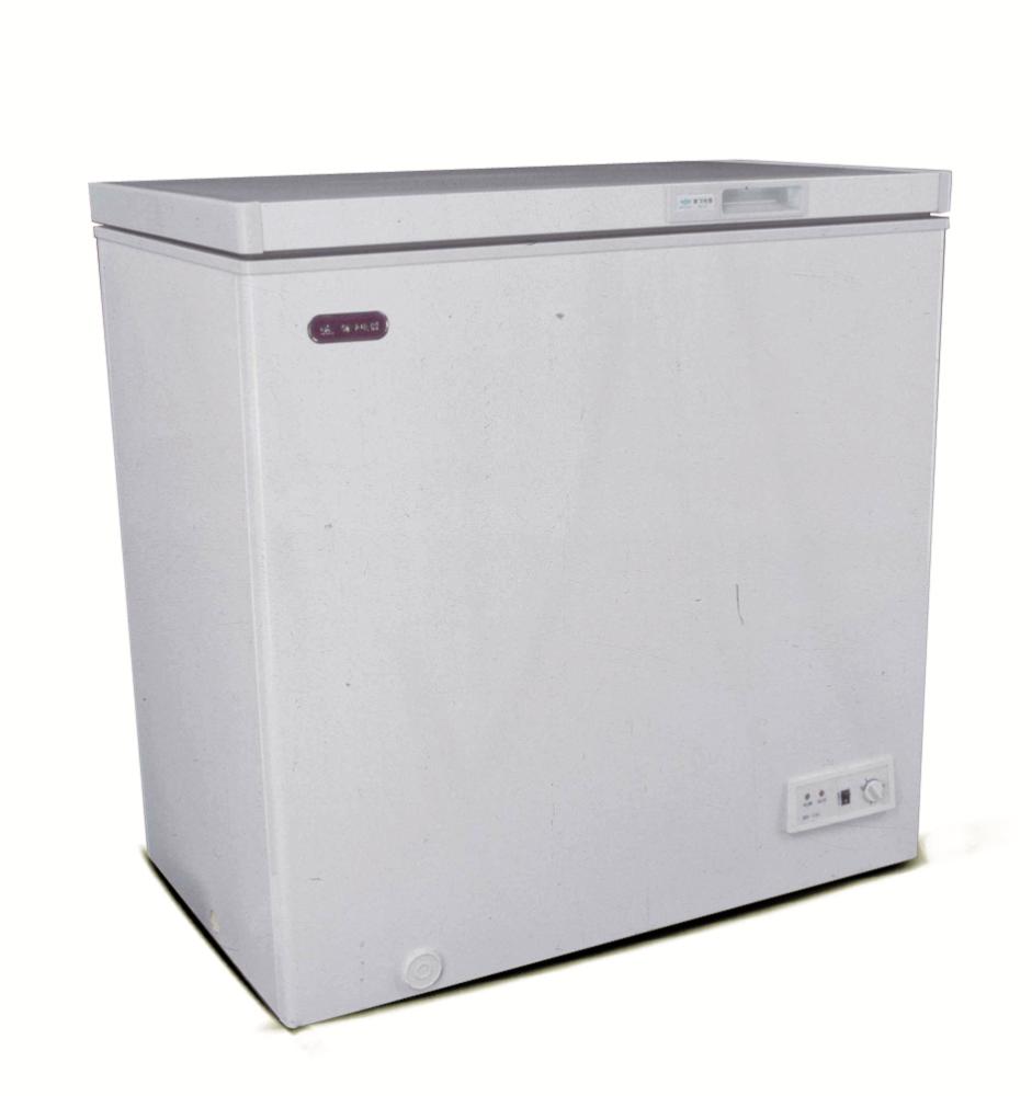Horizontal Freezer - Image 4
