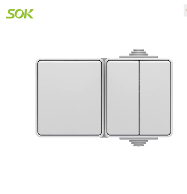 Surface Mount 1-Way and 2-Gang Wall Switch