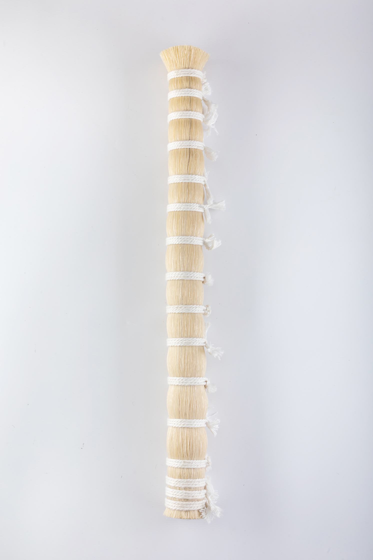 horse tail - Image 2