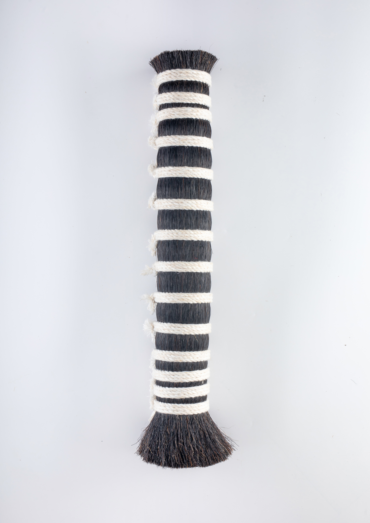 Prepared Horse Tail Fiber Bundle