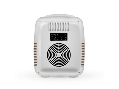 9L Portable Thermoelectric Mini Fridge
