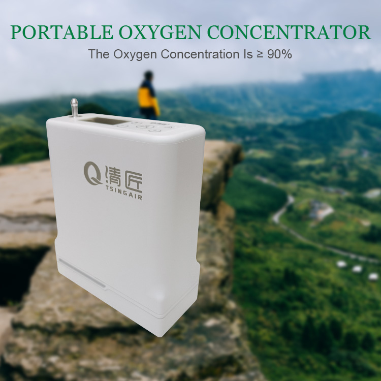 Portable Oxygen Concentrator with Rechargeable Battery