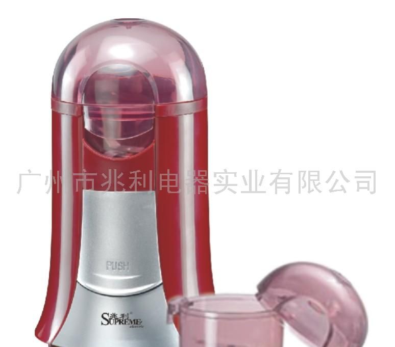 Electric Hot Water Kettle