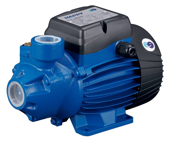 Electric Water Transfer Pump