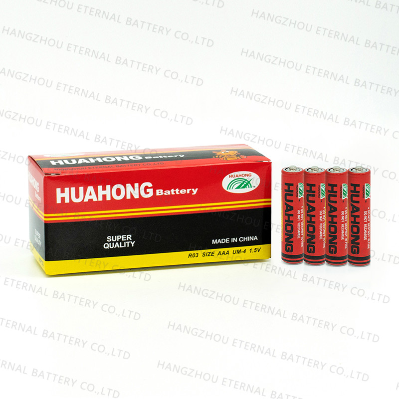 HUAHONG R03 BATTERY - Image 2