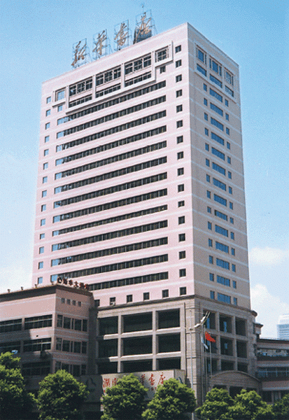 Commercial Multi-Story Building
