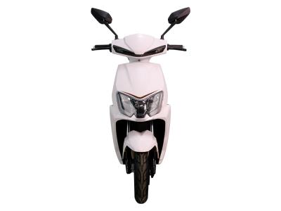 HY - Image 2