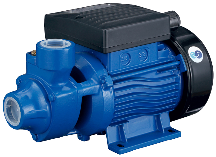 Two-Pole Induction Water Pump