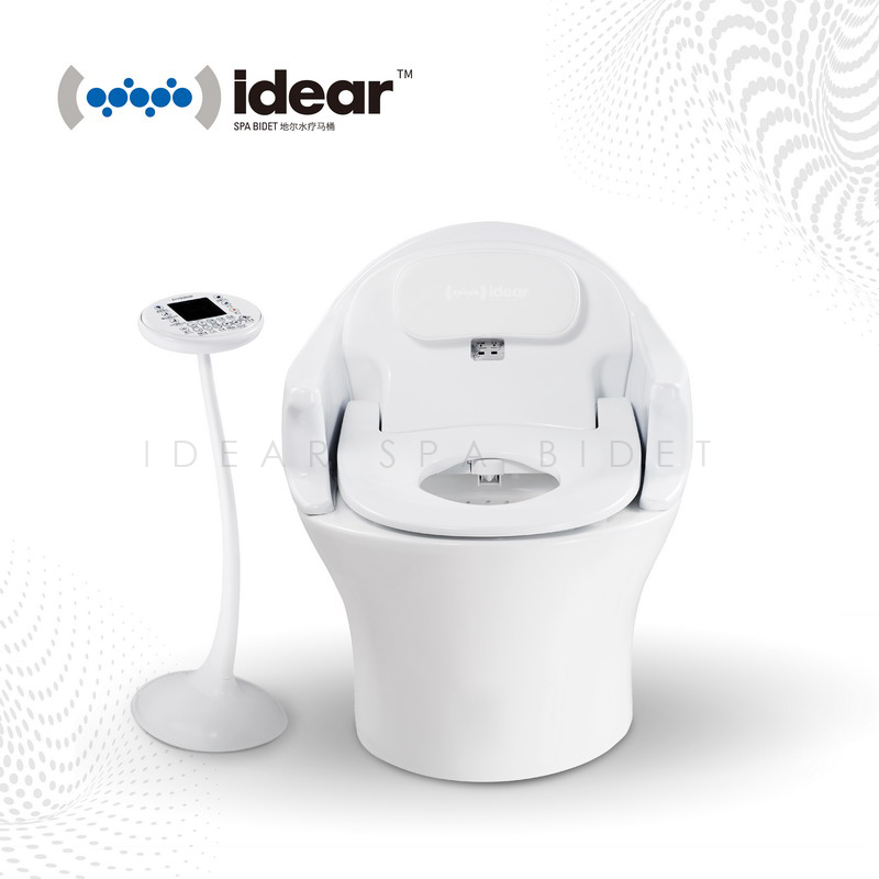 Integrated Smart Bidet Toilet