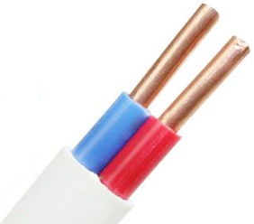 Close up of flat twin and earth electrical cable showing internal conductor structure.