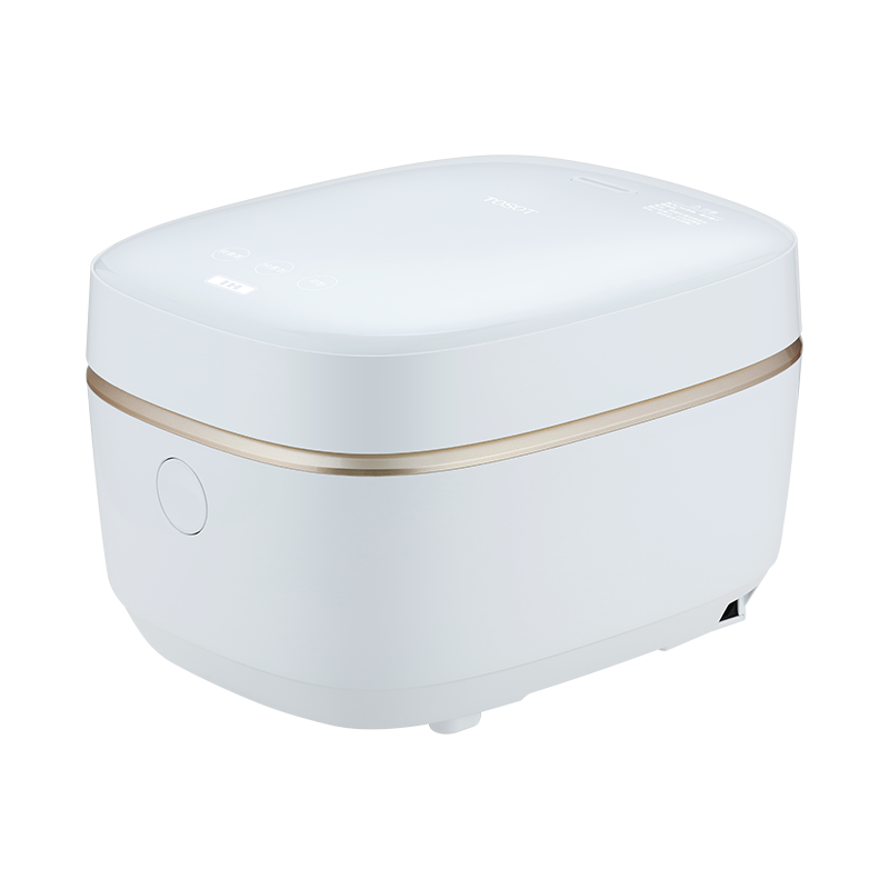 Induction Heating Multi-Cooker