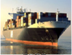 Import Declaration Service