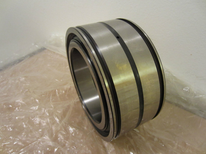 Double Row Cylindrical Roller Bearing SL045044-PP-2NR
