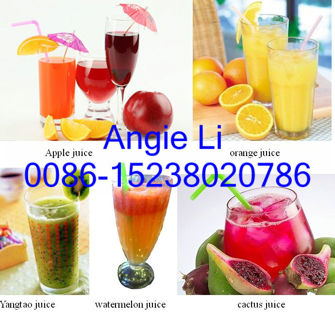 Industrial Stainless Green Grass Juicer Machine - Image 3