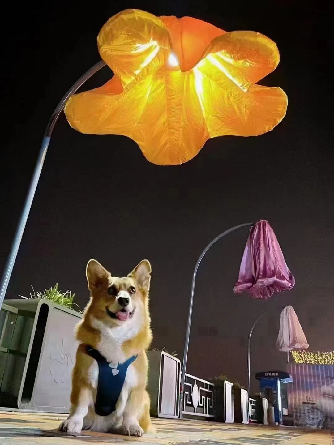 Infrared induction flower lamp - Image 2