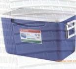 Portable Insulated Cooler Box