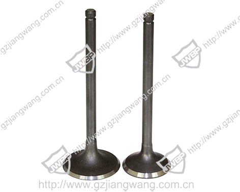 Intake and exhaust valve - Image 2
