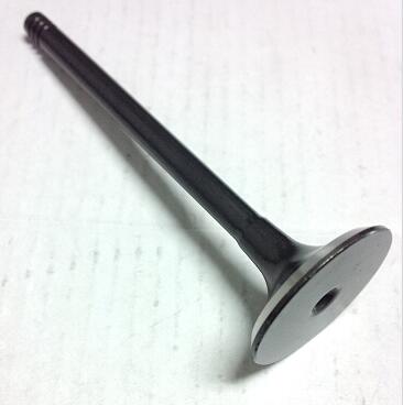 Engine Intake and Exhaust Valve