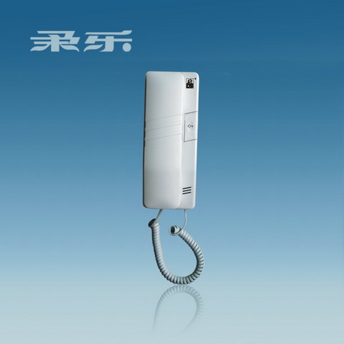 Wall-Mounted Interphone with Camera