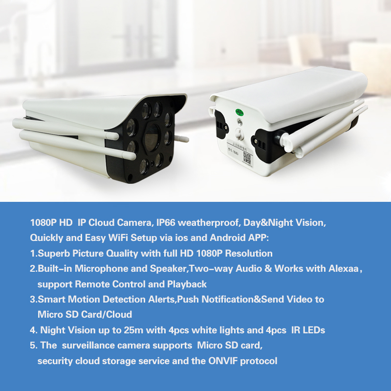 IP Camera - Image 2