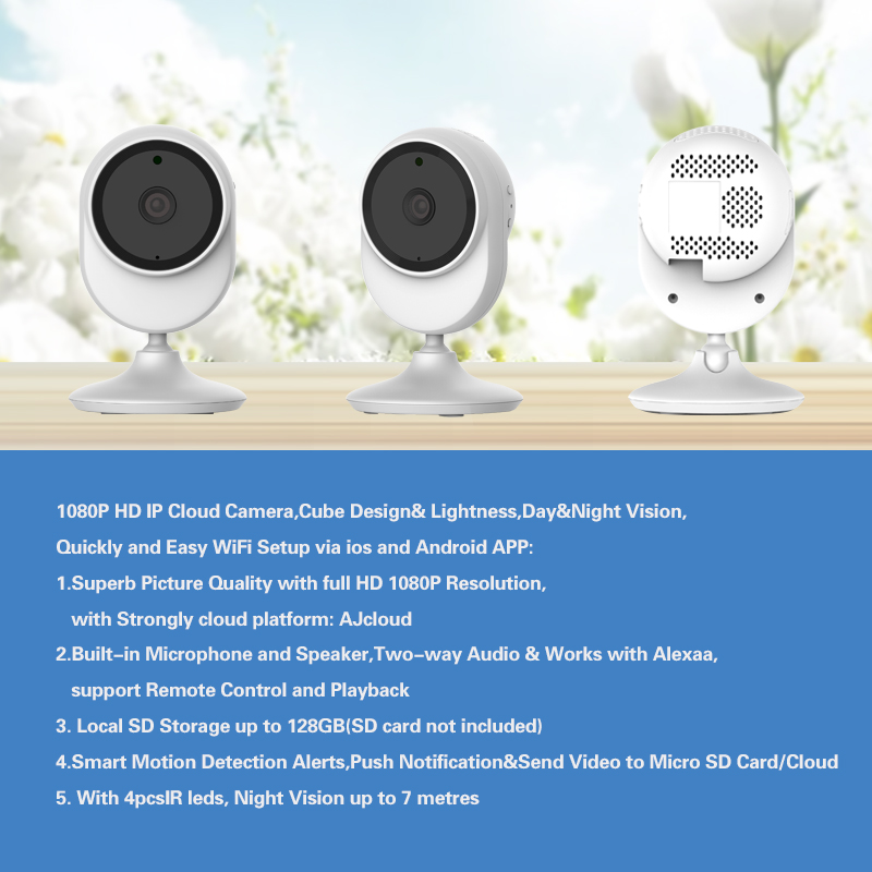 IP Camera - Image 2