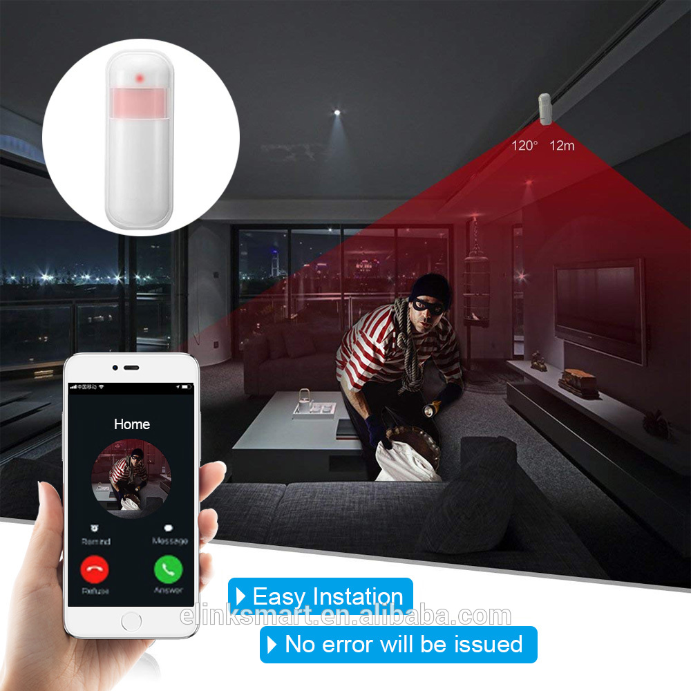 Wireless Pan-Tilt-Zoom IP Security Camera with Motion Detection