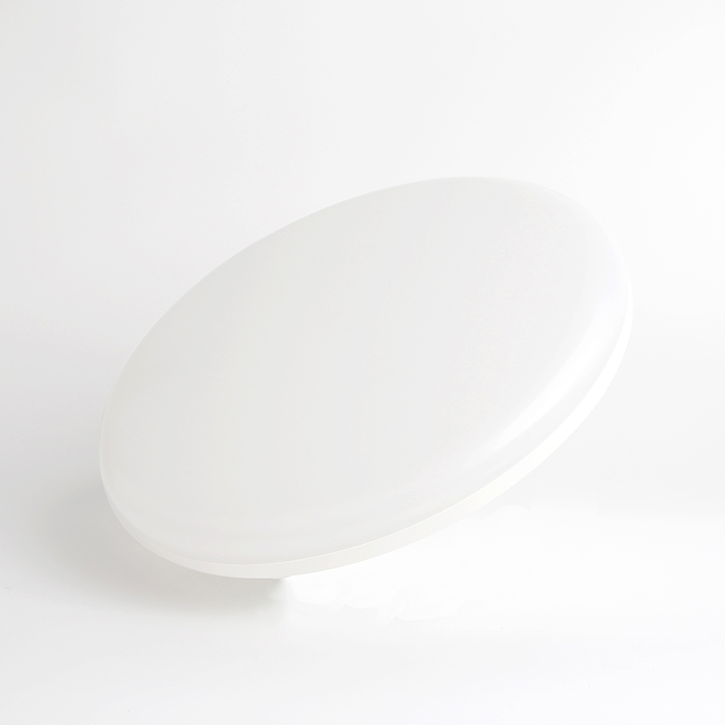 IP54 ceiling lamp - Image 2
