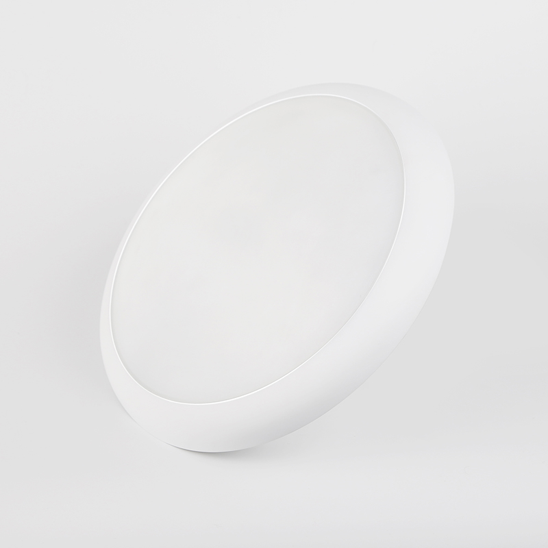 IP54 ceiling lamp - Image 3
