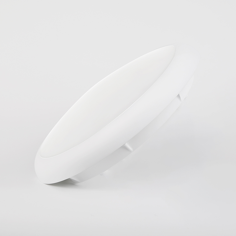 IP54 ceiling lamp - Image 2