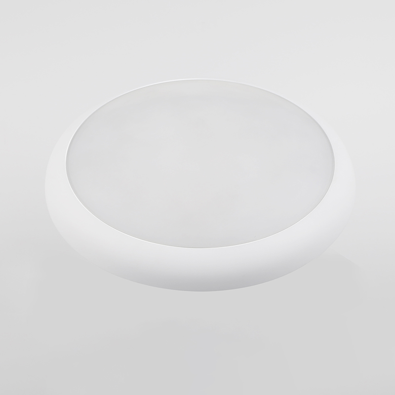 IP54 Rated Ceiling Lamp for Indoor/Outdoor Use