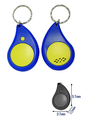 Electronic Access Control Key Fob with Thermometer