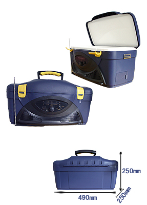 Portable Radio and Cooler Combination