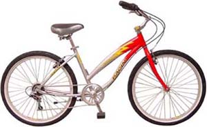Step-Through Frame City Bicycle
