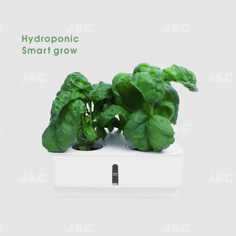 Hydroponic Budding Box with Self-Watering Planter