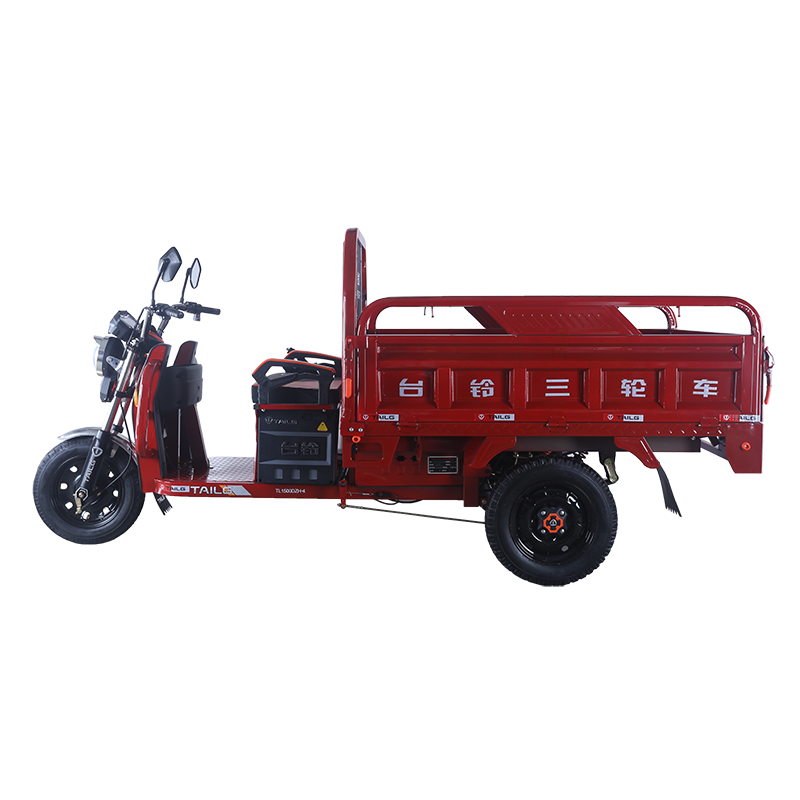 Jin Fu tricycle - Image 3