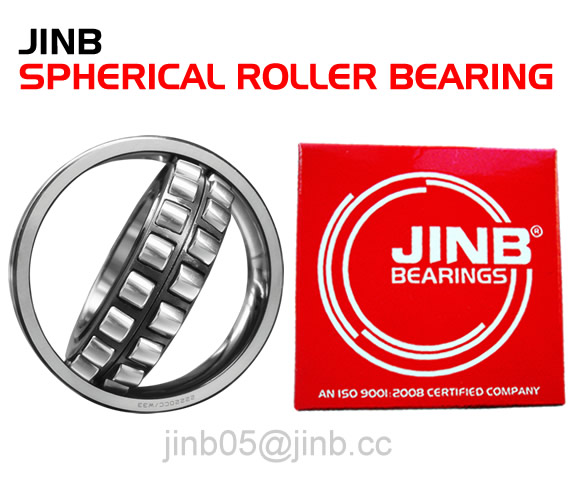 Spherical Roller Bearing 24100 Series