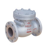 JIS Standard Check Valve DN 50-300