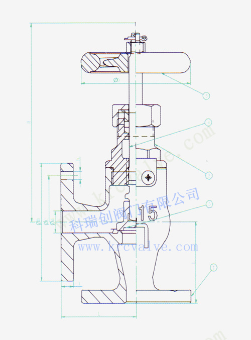 Marine Bronze Angle Check Valve