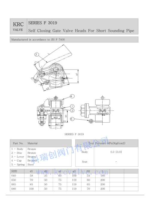 Bronze Self-Closing Gate Valve Head for Short Sounding Pipe