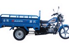 Cargo Transport Tricycle with 110cc Engine