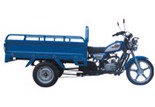 Three-Wheeled 110cc Cargo Motorcycle