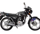 JL125-A Standard Motorcycle