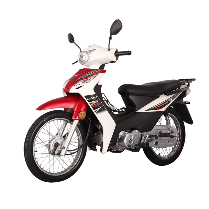 110cc Step-Through Cub Motorcycle