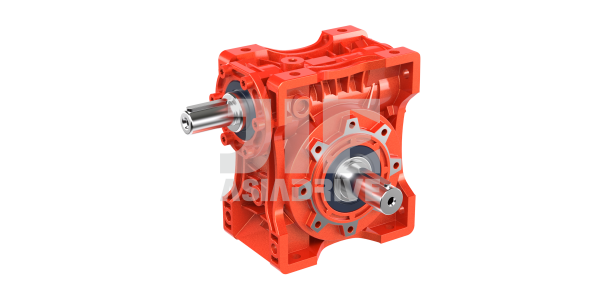 Worm Gear Reducer